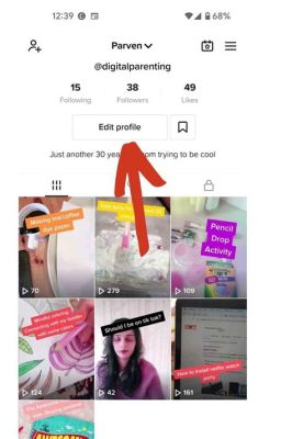 How to Add Website to TikTok Bio: Unlocking the Gateway to Your Digital Universe