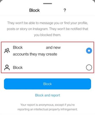 How to View Blocked Accounts on Instagram Website: A Journey Through Digital Shadows and Social Mysteries