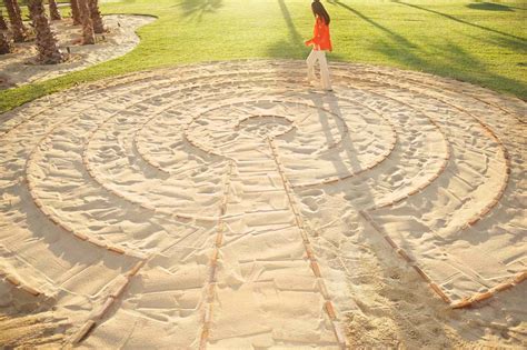 lts meaning software: A Journey Through the Digital Labyrinth