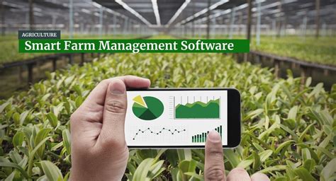 What is Farm Management Software: Unraveling the Digital Tapestry of Agriculture